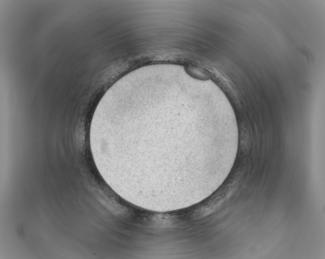 X0000111040261200908061503