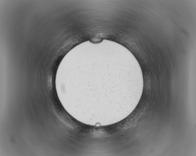 X0000111040262200908061503