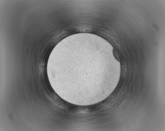 X0000111040263200908061503