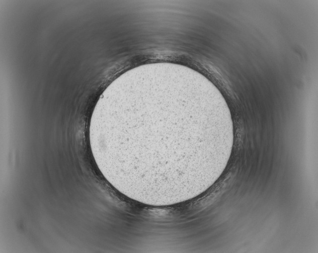 X0000111040265200908061503