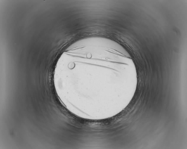 X0000111040268200908061503