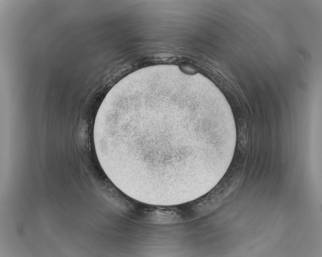 X0000111040270200908061503