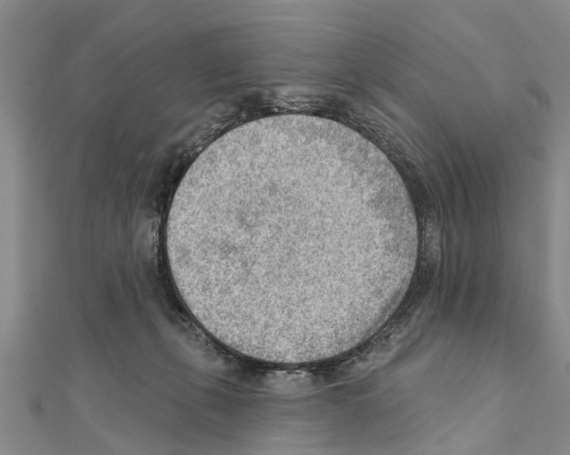 X0000111040271200908061503