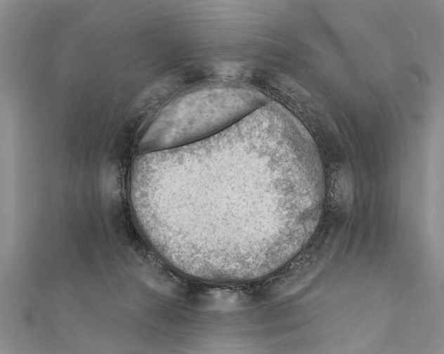 X0000111040272200908061503