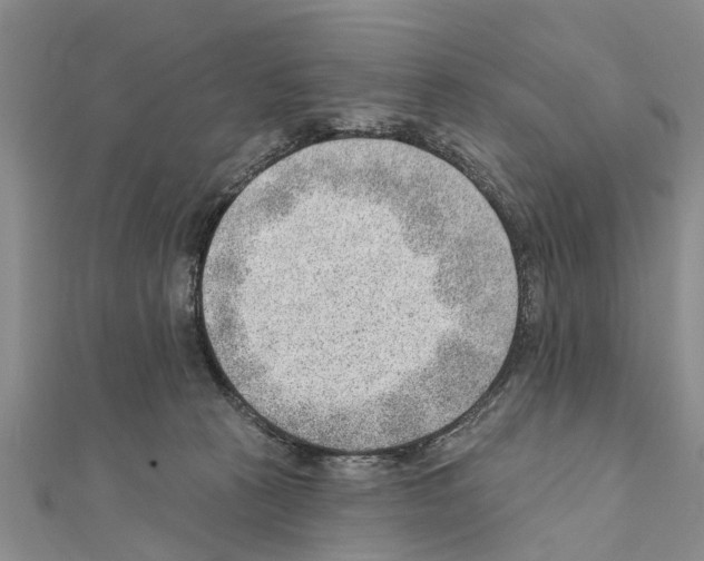 X0000111040273200908061503