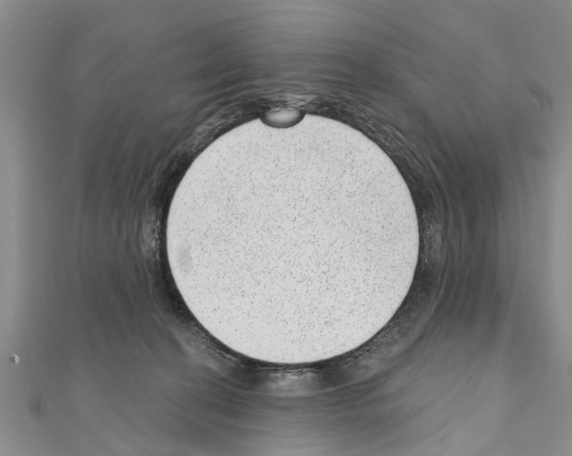 X0000111040274200908061503