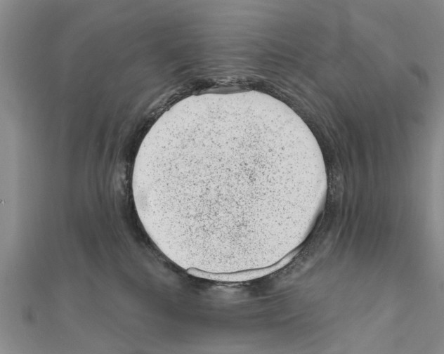 X0000111040280200908061503