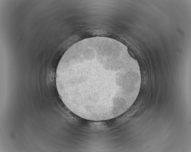 X0000111040281200908061503