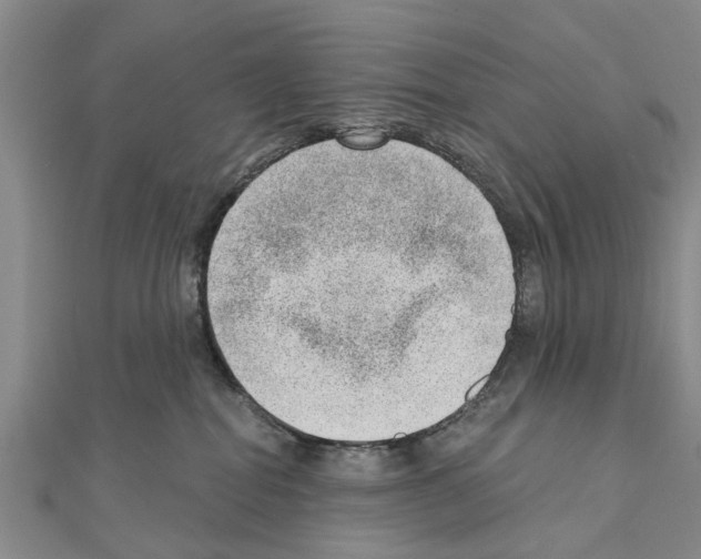 X0000111040282200908061503