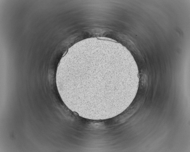 X0000111040283200908061503