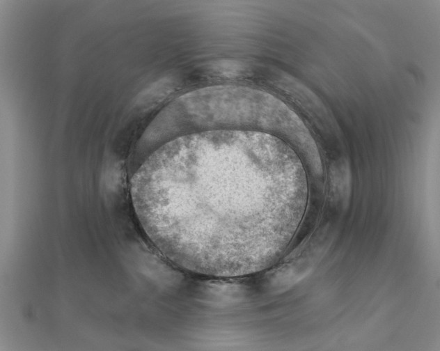 X0000111040284200908061503