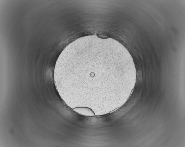 X0000111040286200908061503