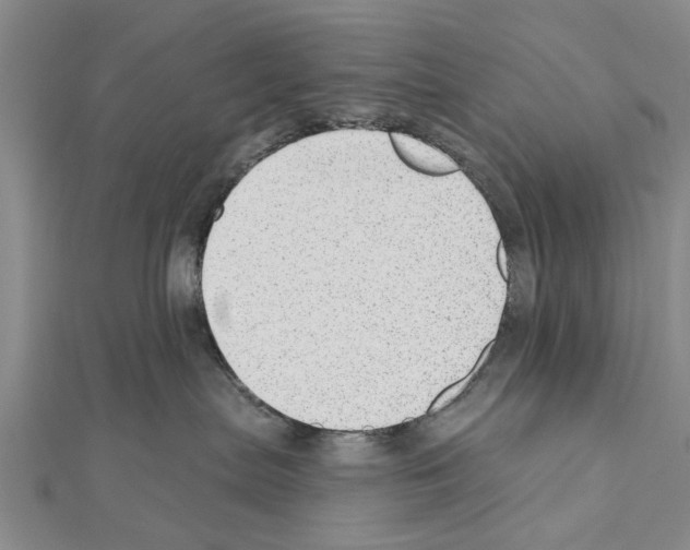 X0000111040287200908061503