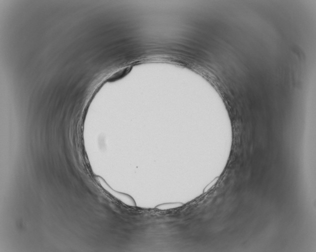 X0000111040289200908061502