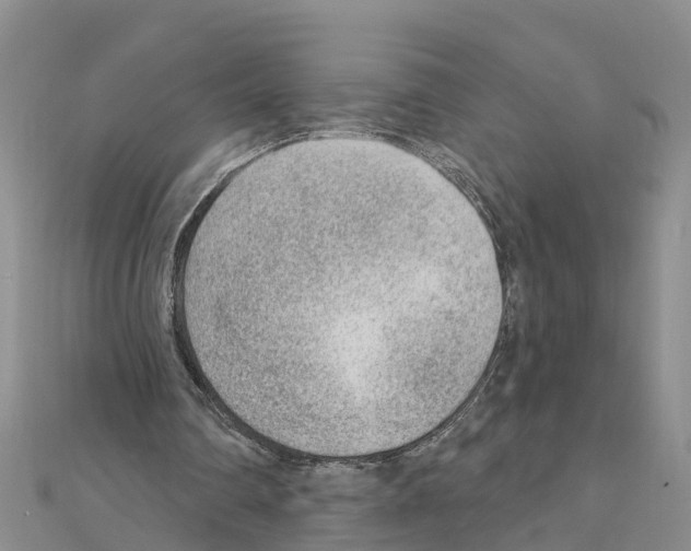 X0000111040290200908061502