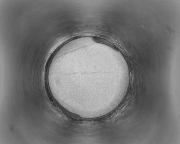 X0000111040292200908061502