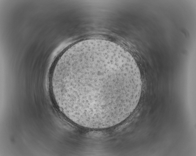 X0000111040294200908061502