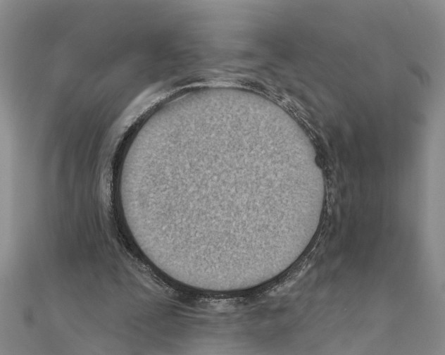 X0000111040295200908061502