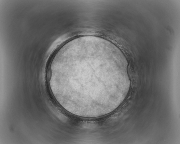 X0000111040296200908061502