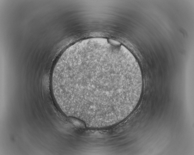 X0000111040297200908061502