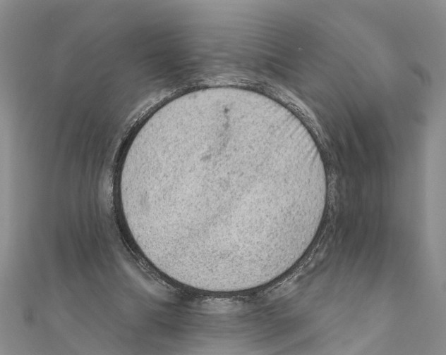 X0000111040298200908061502