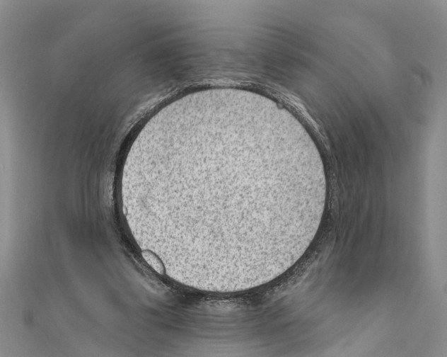 X0000111040299200908061502