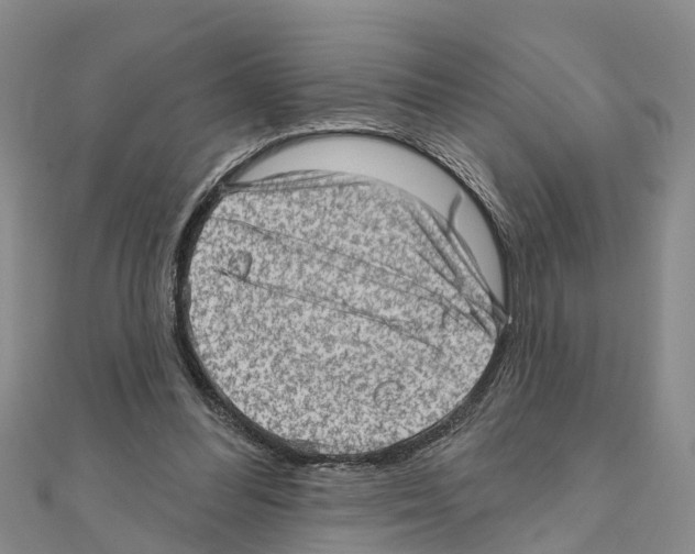 X0000111040300200908061502