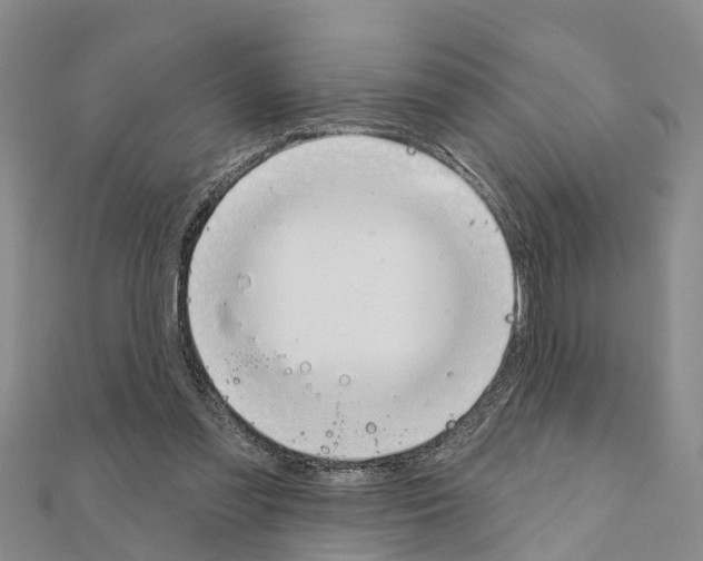 X0000111040301200908061502