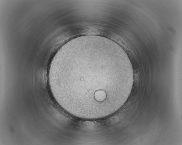 X0000111040302200908061502