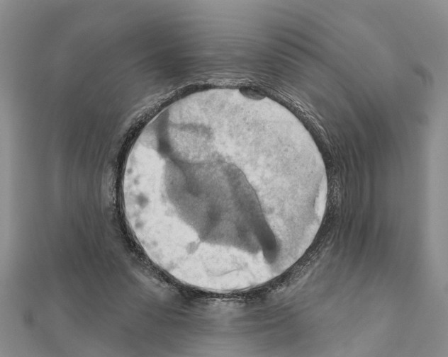 X0000111040303200908061502