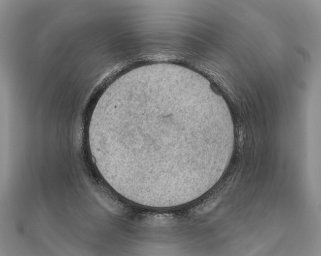 X0000111040304200908061502