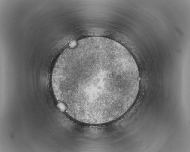 X0000111040305200908061502