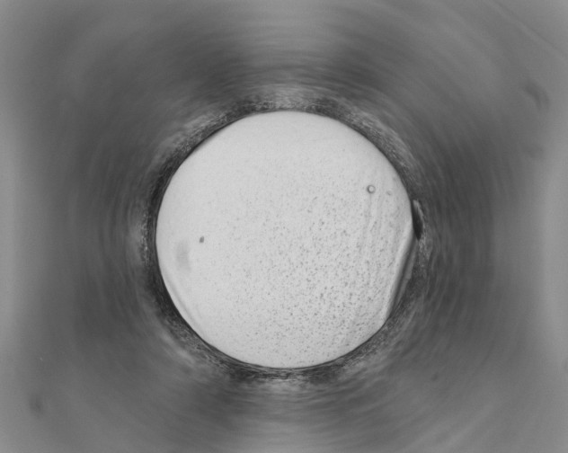 X0000111040306200908061502