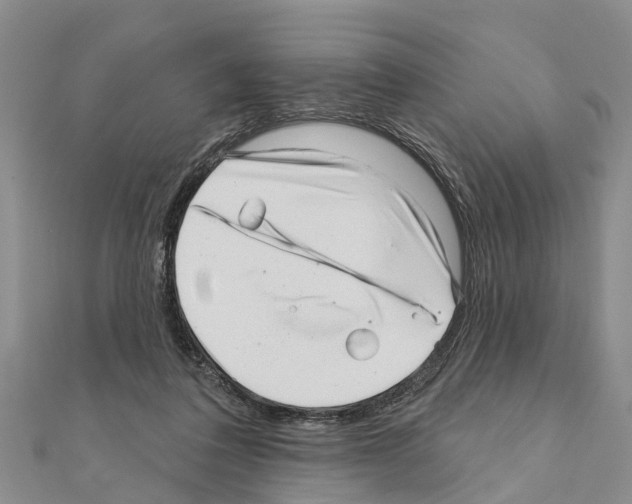 X0000111040308200908061502