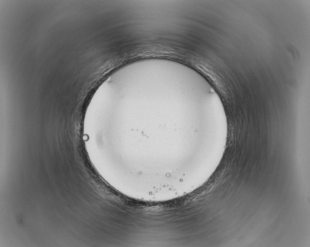 X0000111040309200908061502