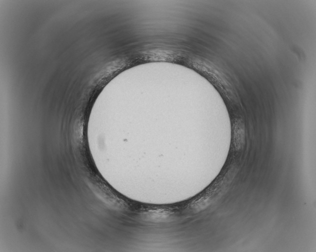 X0000111040310200908061502