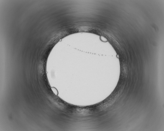 X0000111040311200908061502