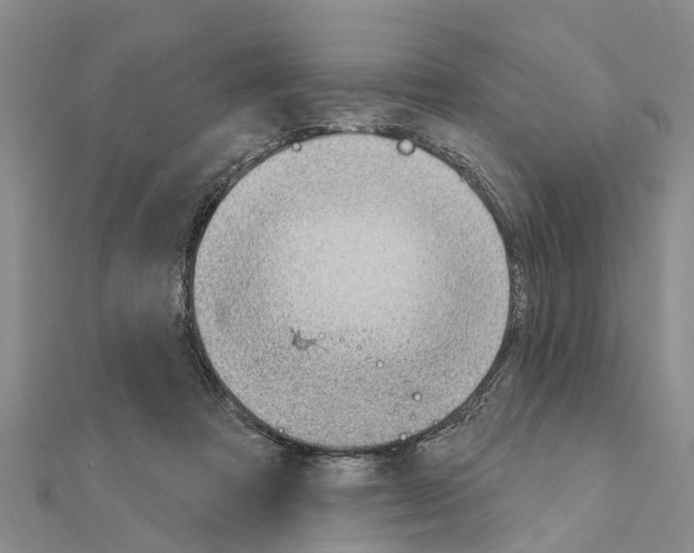 X0000111040313200908061502