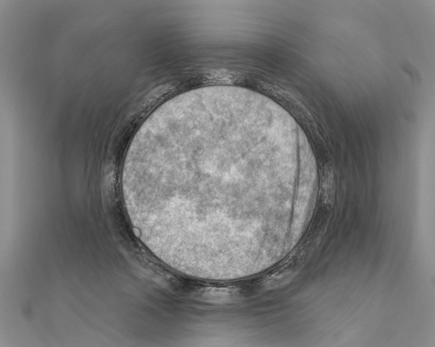 X0000111040314200908061502