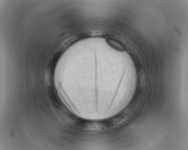 X0000111040316200908061502