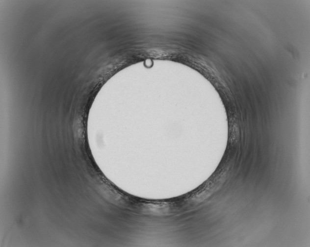 X0000111040317200908061502