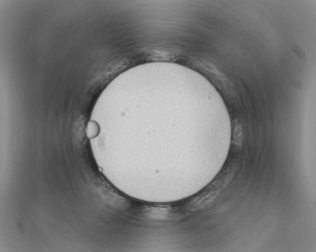 X0000111040318200908061502