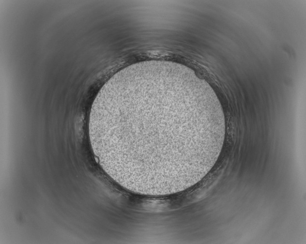 X0000111040319200908061502