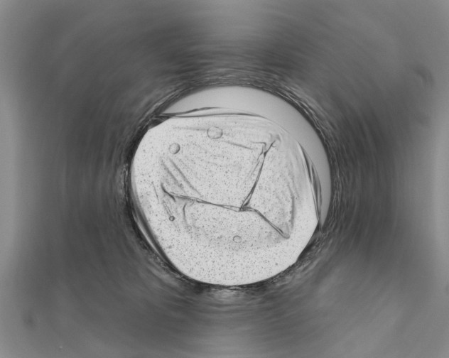 X0000111040325200908061502