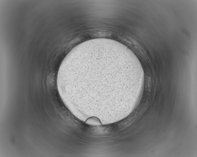 X0000111040326200908061502