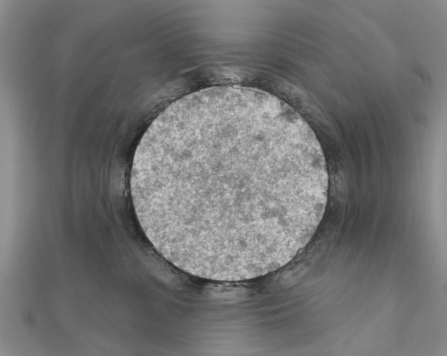 X0000111040331200908061502