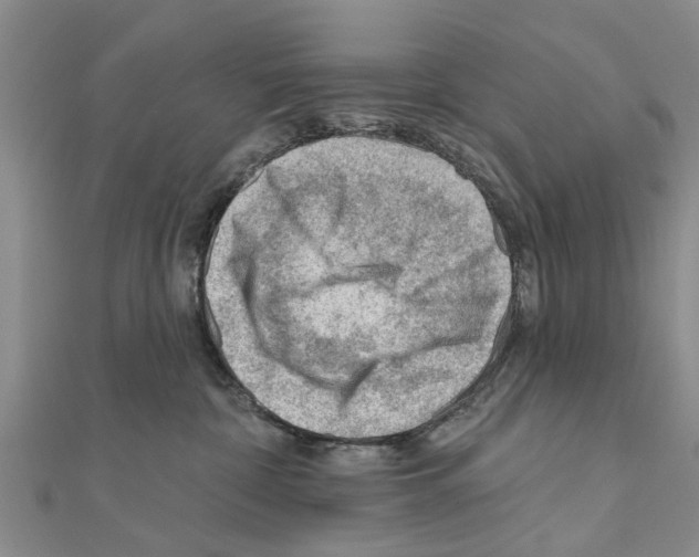 X0000111040332200908061502