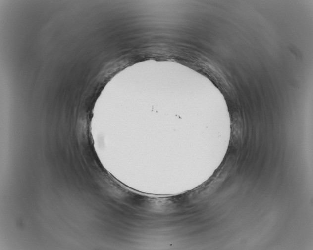 X0000111040333200908061502