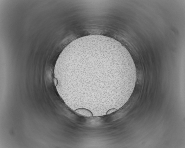 X0000111040334200908061502