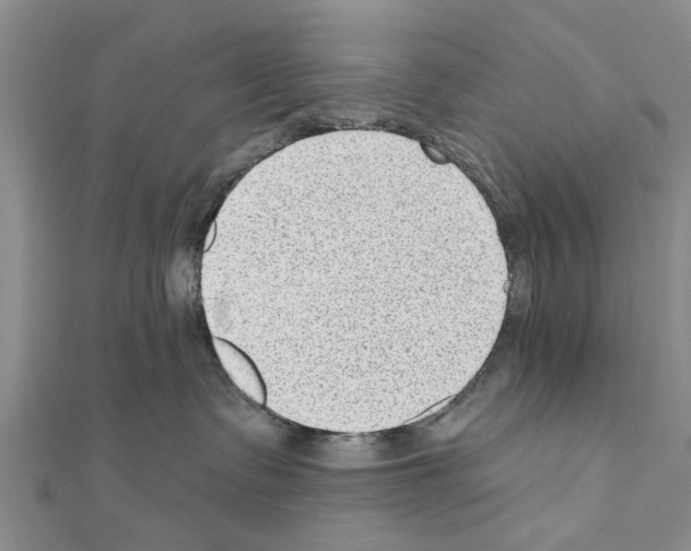 X0000111040335200908061502